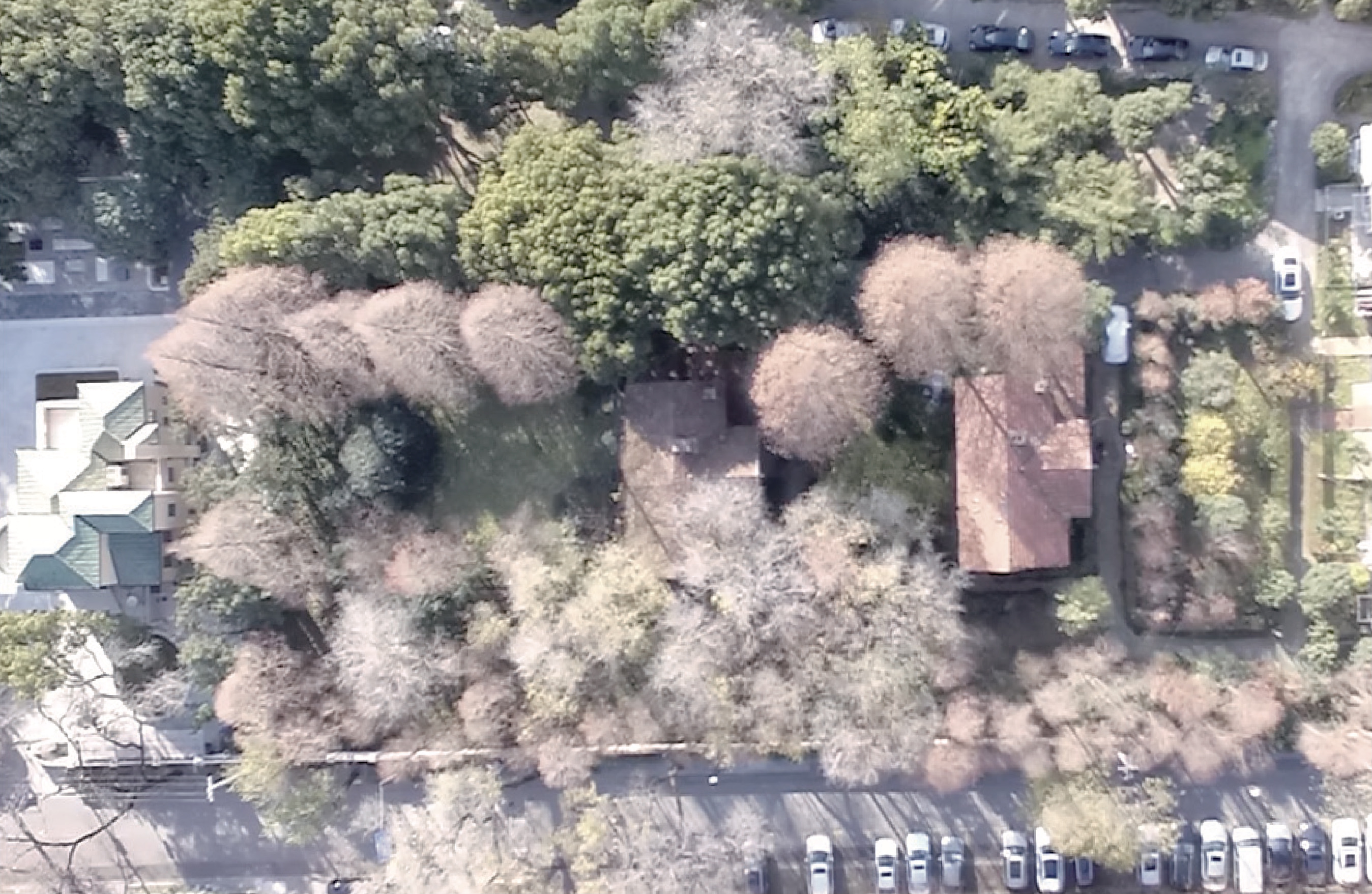 WechatIMG133.jpeg WechatIMG133.jpeg